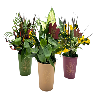 5" Gold Leaf Fall Metal w Dish Garden (Box of 12)